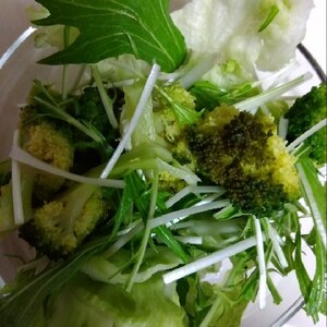 ブロッコリーと大根と水菜とレタスのサラダ